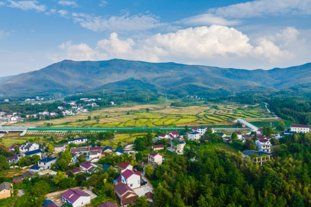澳门大阳城(集团)有限公司官网