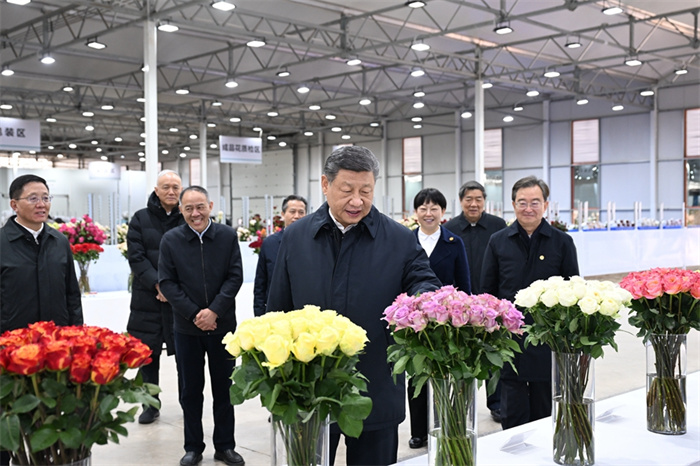 澳门大阳城(集团)有限公司官网